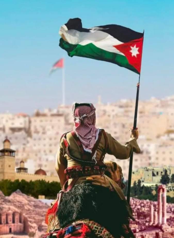 saif_4ZaaP
