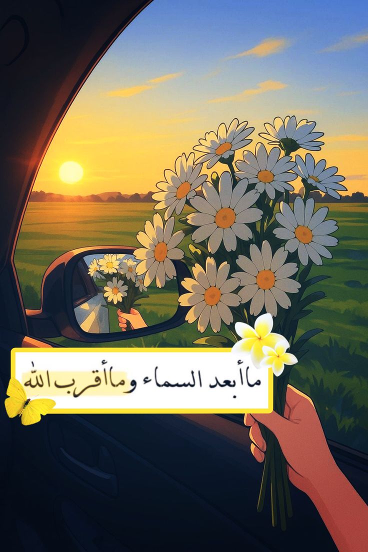 ���� ������_vyE3D